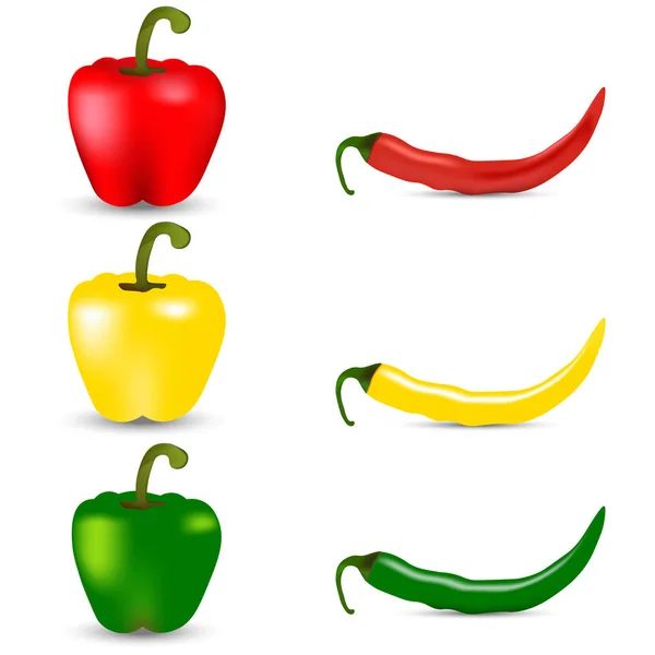 现实的红色, 黄色和青椒。辣椒。矢量 — 图库矢量图片