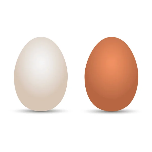 Reális csirke fehér és barna tojás a shadow. Vektoros illusztráció — Stock Vector