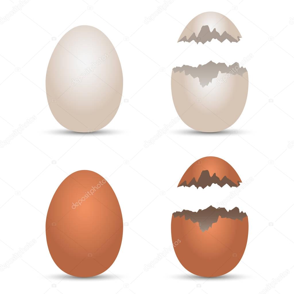 Realistic chicken white and brown eggs with cracked effect. Vector illustration
