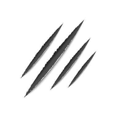 Pençe çizik, hayvan, çizik, canavar. Vektör