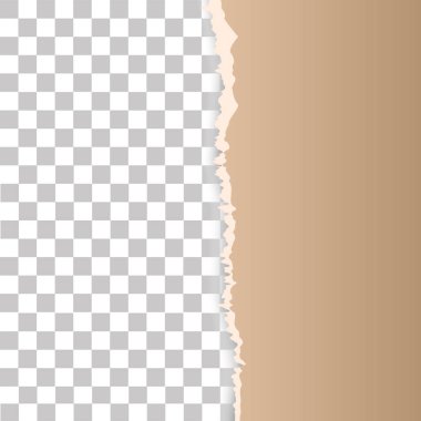 Grunge kağıt üzerinde şeffaf arka plan, vektör çizim  