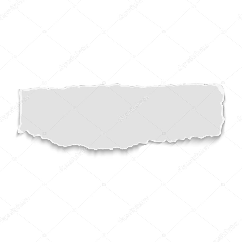White elongate paper tear with shadow isolated. Vector.