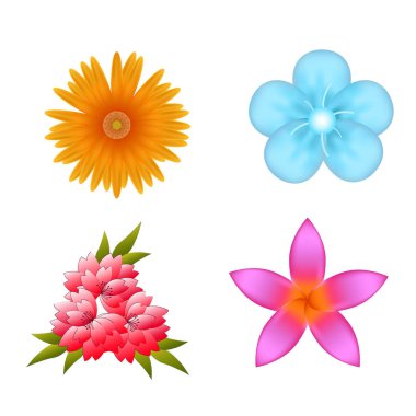 Yaz çiçek illüstrasyon vektör
