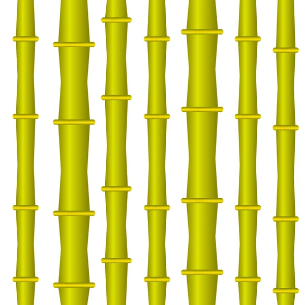 Bamboo bright stem. Vector illustration — Stock Vector