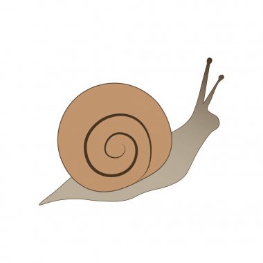 Beyaz bir arka plan üzerinde izole salyangoz vektör çizim