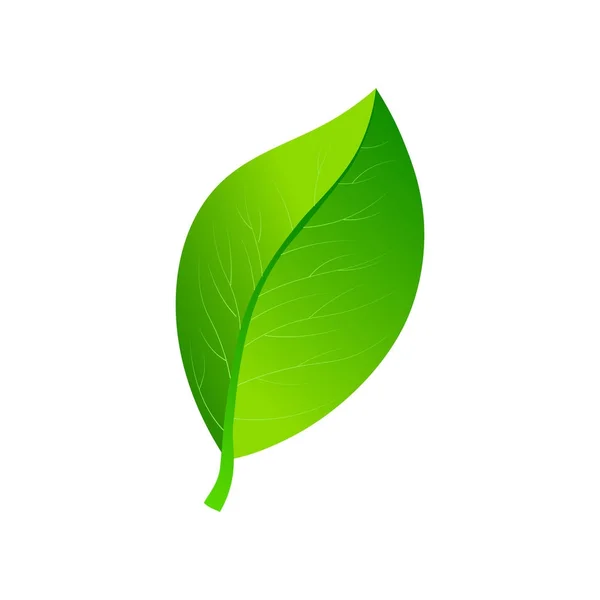 Vektorové ilustrace ekologie koncept ikony s lesklou zelenou opustit. Eco koncept. — Stockový vektor