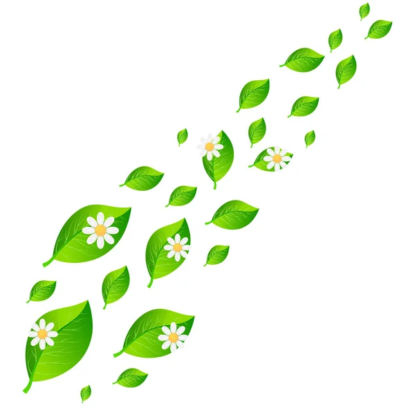 Yeşil yaprakları ve beyaz bir arka planda ekoloji kavramı vektör çizim papatya. Eko kavramı parlak taze yeşil yaprakları ile — Stok Vektör
