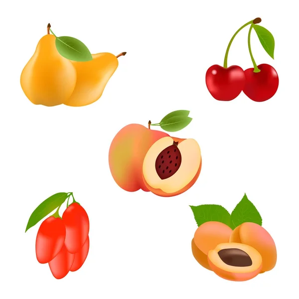 Fruits réalistes vecteur icônes ensemble. pêche, poire, abricot, cerise, goji illustration — Image vectorielle