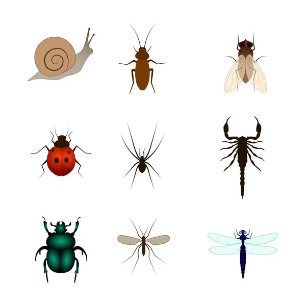 Set verschiedener Insektenvektorillustrationen. Skorpion, Fliege, Spinne, Schnecke, Käfer, Mücke, Schmetterling, Libelle, Schaben — Stockvektor