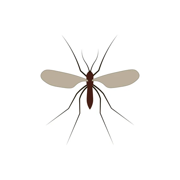 在白色背景上隔离的蚊媒插图 — 图库矢量图片