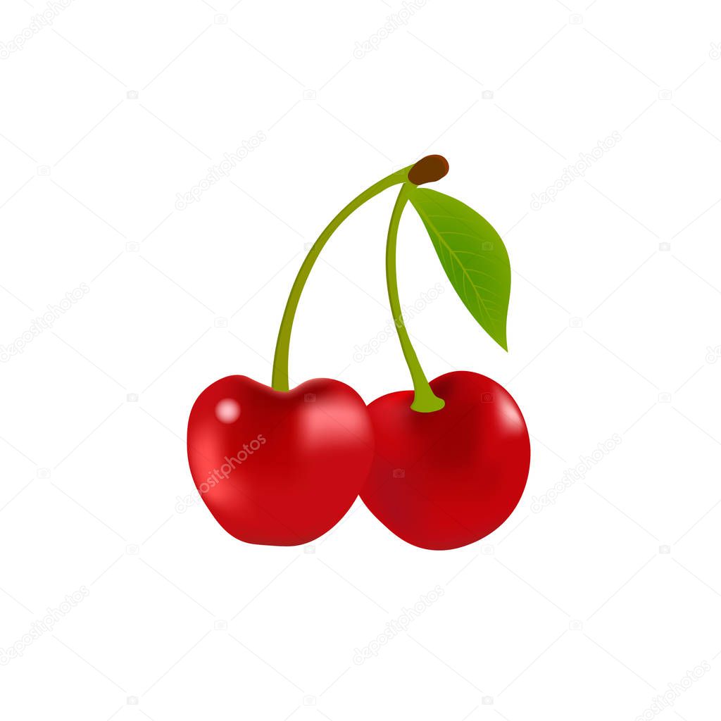 Realistic cherry fruit with leaf isolated on white background. Vector illustration. Sweet fruit