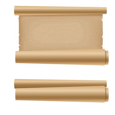 Papirüs gerçekçi antik kaydırma. Vektör