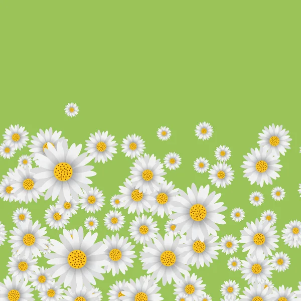 落下カモミールと背景を春緑の背景に。ベクトル. — ストックベクタ