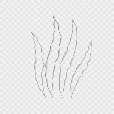 Saydam arkaplanda tırmalama izleri var. Vektör.