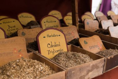 Hastalıkları tedavi etmek için farklı bitkiler