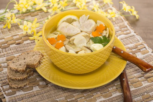 Italienische Suppe mit Huhn und Pilzen — Stockfoto