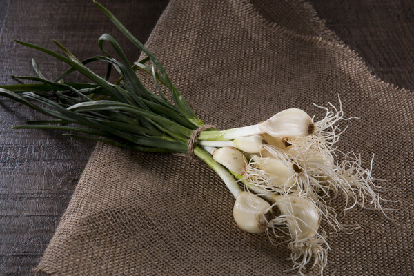 Rustic style with green onions