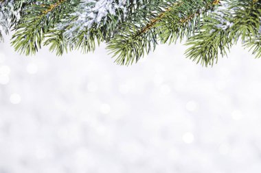 Adam Noel tebrik kartı