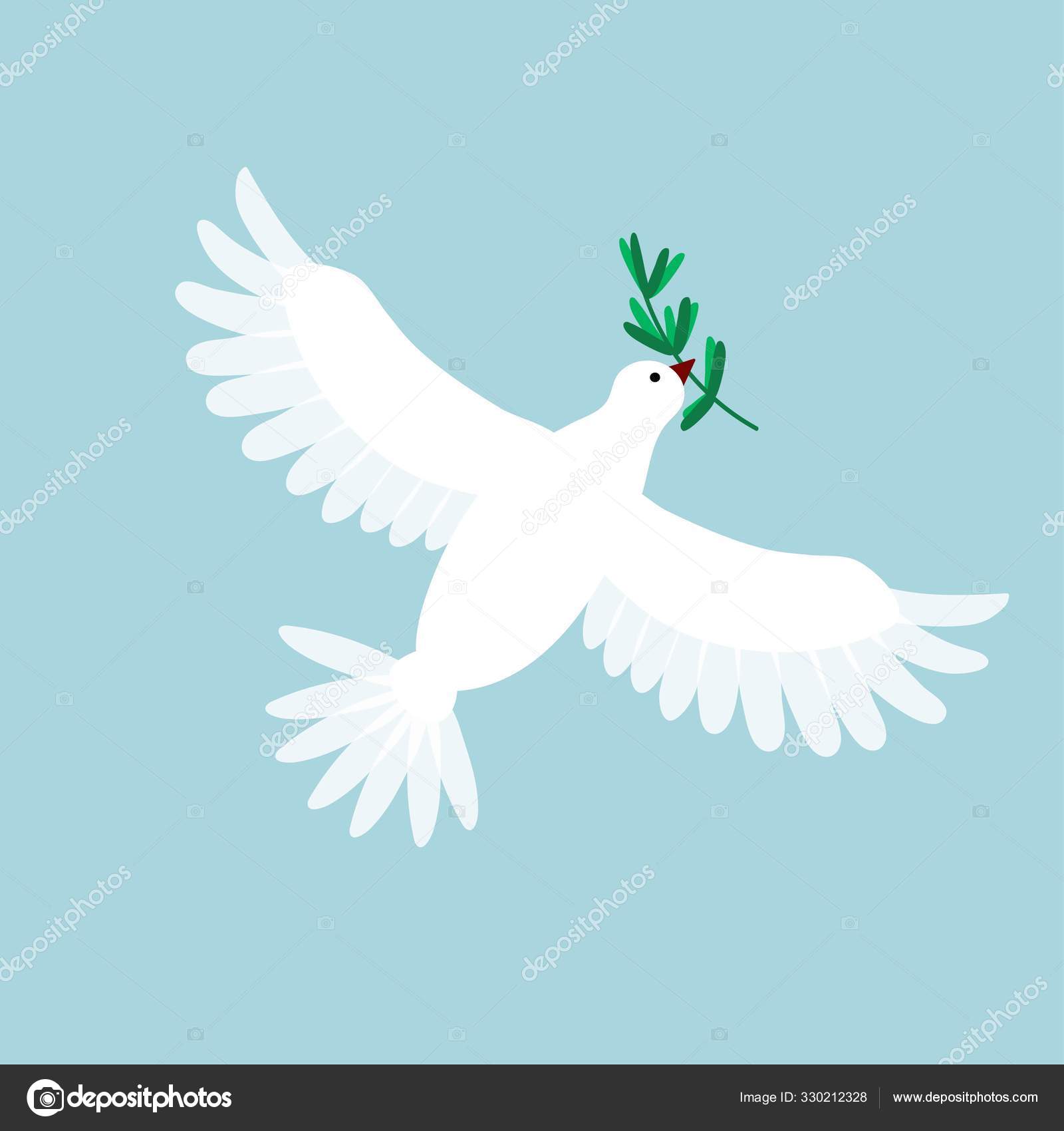 鸽子叼着橄榄枝的图片,世界和平鸽橄榄枝图片 - 伤感说说吧