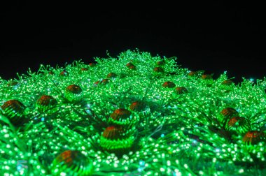 Süslenen Noel ağacı ışıkları ile gece