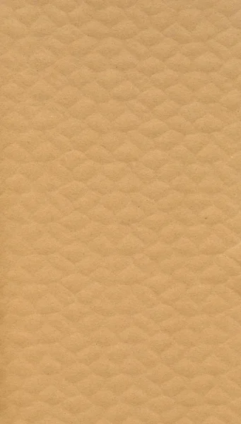 Tekstur mendetail dari kardus tebal berwarna coklat muda yang bergelombang — Stok Foto