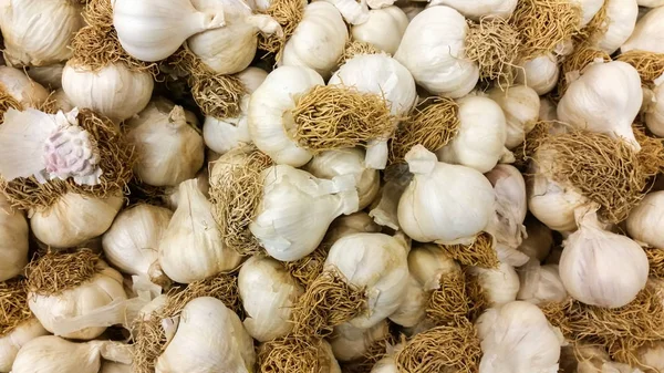 Sekelompok garlics organik kering di pasar — Stok Foto