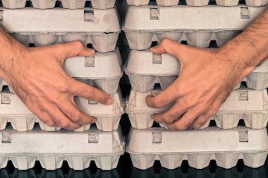 Holding adam eller yumurta kutuları bir tabloda düzenlenmiştir