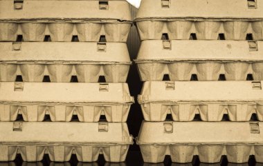 Düzenlenmiş karton yumurta kutuları görünümünü kapat