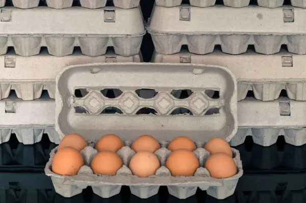 Egg box with ten organic chicken eggs inside