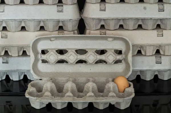 stock image Egg box with one organic chicken egg inside