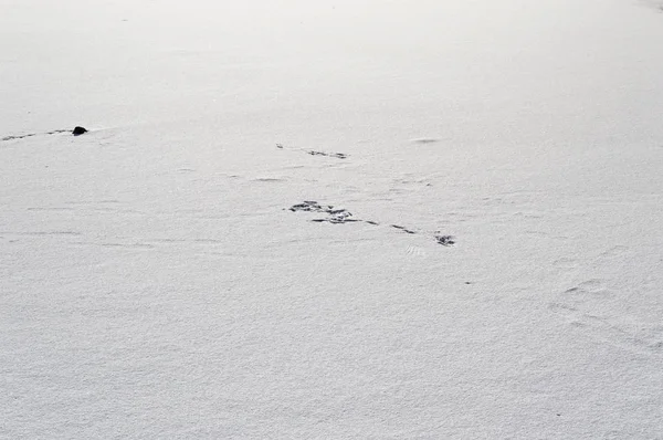 Endlose Schneelandschaft eines leeren Feldes — Stockfoto