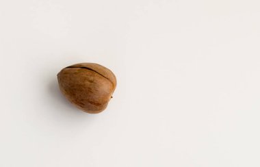 Beyaz bir arka plan üzerinde izole tek Avokado tohum