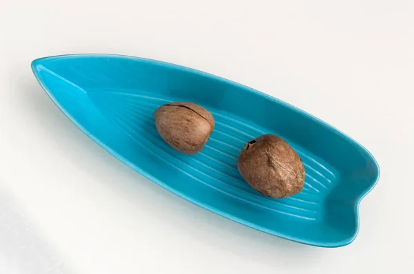 Два семян авокадо подаются в голубой тарелке — стоковое фото