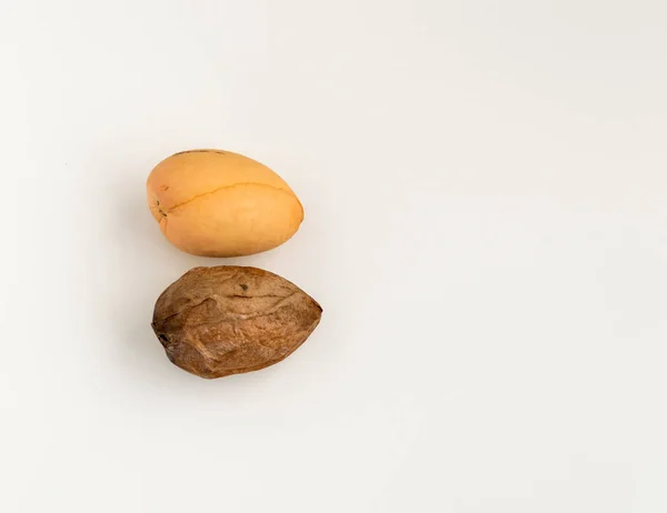Duas sementes de abacate isoladas sobre um fundo branco — Fotografia de Stock