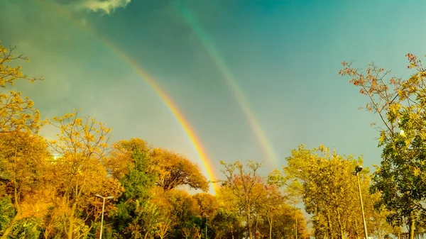 Weergave van een dubbele regenboog achter de bomen — Stockfoto