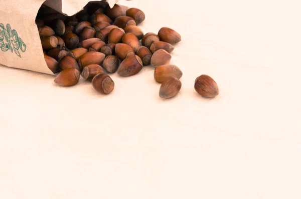 Group of raw hazelnuts on a white background — Stock Photo, Image