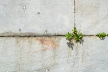 Doku arka plan beyaz kirli mermer taş duvar desenli