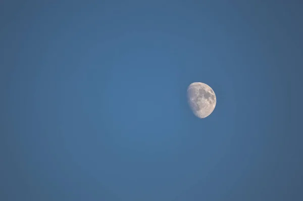 Encerar la luna de Gibus en un cielo diurno — Foto de stock gratis