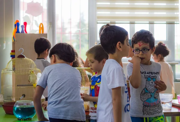 Eskisehir, Turquía - 05 de mayo de 2017: Niños en edad preescolar que asisten a un evento del día del animal en el jardín de infantes — Foto de Stock
