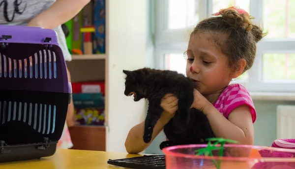 Eskisehir, Turquía - 05 de mayo de 2017: Niña preescolar sosteniendo un gatito negro en sus manos en un salón de clases — Foto de Stock