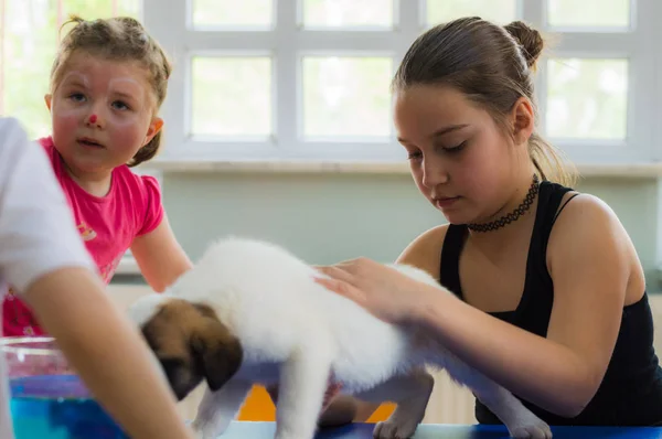 Eskisehir, Turquia - 05 de maio de 2017: Crianças pré-escolares que participam de um evento de dia animal no jardim de infância — Fotografia de Stock