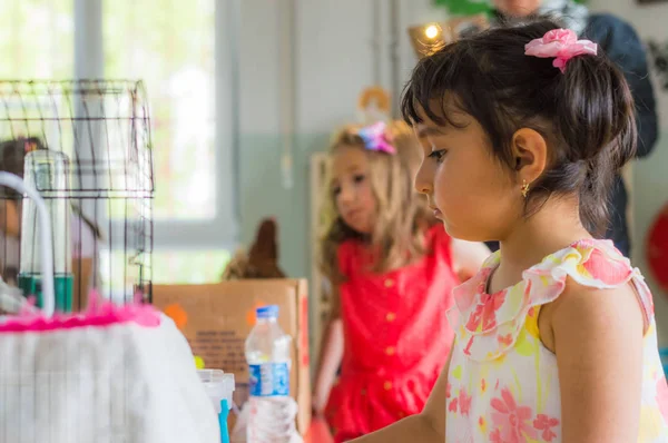 Eskisehir, Turquía - 05 de mayo de 2017: Niños en edad preescolar que asisten a un evento del día del animal en el jardín de infantes — Foto de Stock