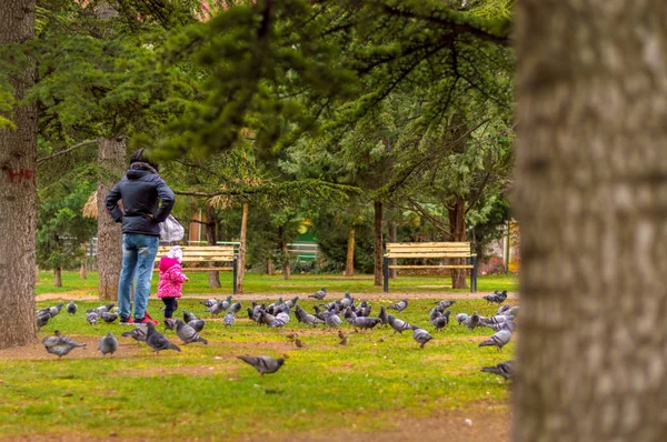 Matka i córka oglądania gołębie w parku publicznym z sosny — Zdjęcie stockowe