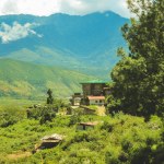 Village bhoutanais et champ mitoyen à Punakha, Bhoutan