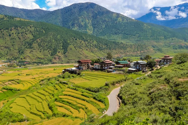 Satul Bhutanez și câmpul terasat de la Punakha, Bhutan — Fotografie, imagine de stoc