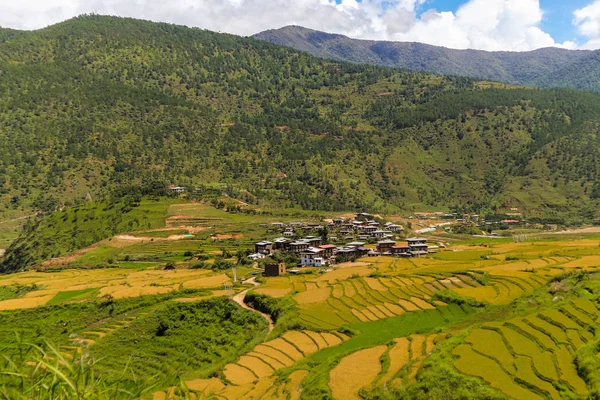 Бутанская деревня и террасовое поле в Пунахе, Бутан — стоковое фото