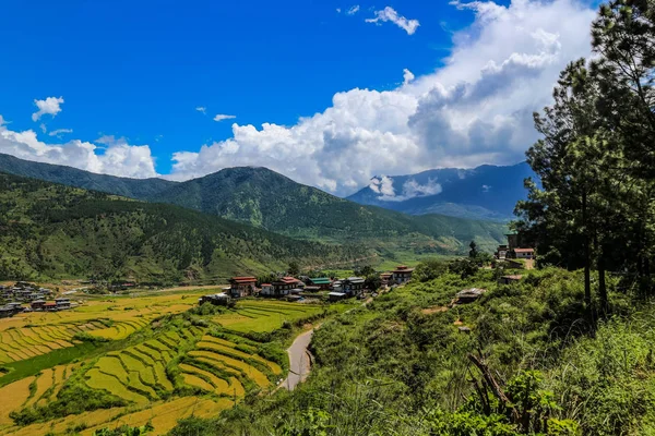 Бутанская деревня и террасовое поле в Пунахе, Бутан — стоковое фото