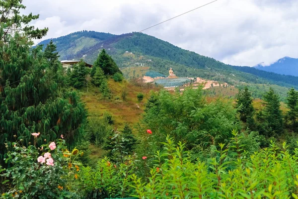 Vista da estátua de Buda Dordenma gigante da cidade de Thimphu — Fotos gratuitas