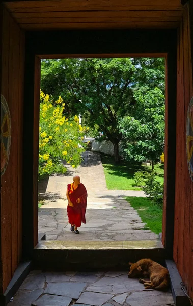 : Paro, Bhutan - 10 Eylül 2016: Bhutan keşiş Kichu Lhakhang tapınağında kapıdan yürüme.