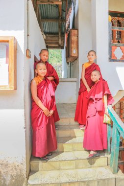 Phuentsholing, Birleşik Arap Emirlikleri - 16 Eylül 2016: genç Bhutan keşiş bir manastır Phuentsholing Town, Bhutan, Güney Asya merdivenlerde ayakta
